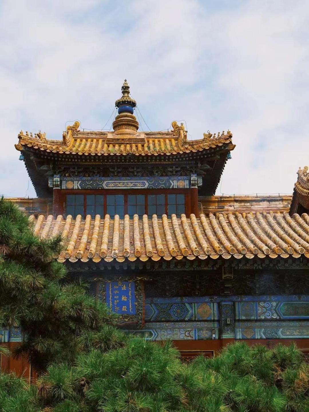 Happy Dragon Courtyard- Newly Renovated With French Windows, Near Tian'anmen Forbidden City,lama Temple And Heaven Temple, 3minutes Walk From Subway,fluent Speaking With Tourist Sights Tickets Service ,free Coffee &laundry Service Beijing