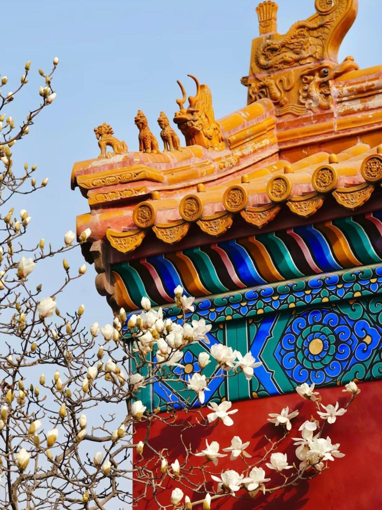 Happy Dragon Courtyard- Newly Renovated With French Windows, Near Tian'anmen Forbidden City,lama Temple And Heaven Temple, 3minutes Walk From Subway,fluent Speaking With Tourist Sights Tickets Service ,free Coffee &laundry Service 5* Beijing